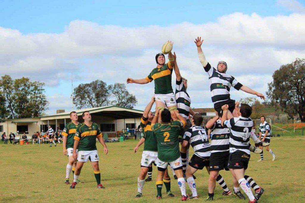 The Camels’ Jamie Peters won this line-out contest in Saturday’s Western Plains Rugby  Union match against Warren at Ailsa Fitzsimmons Memorial Oval. ▪ Photo courtesy of Emily Carswell 