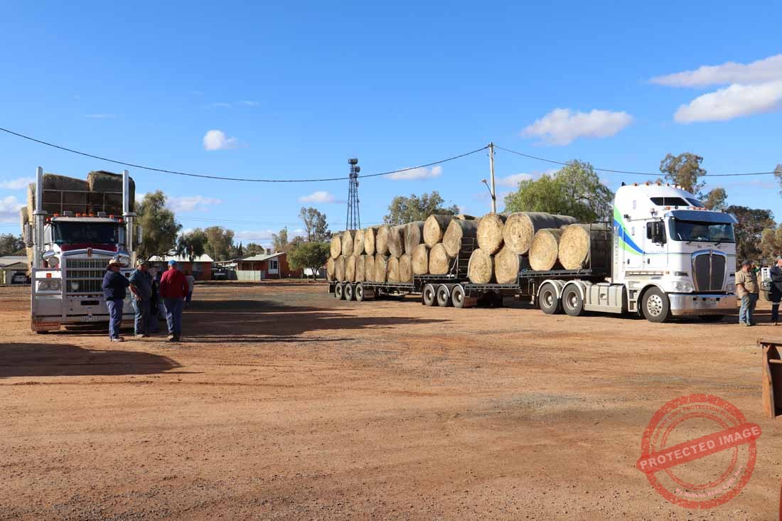 Hamilton helping hand – The Cobar Weekly