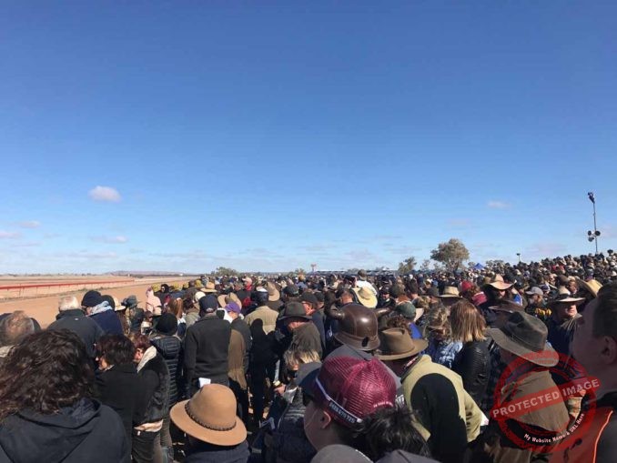 Louth Races Packed to the seams – The Cobar Weekly